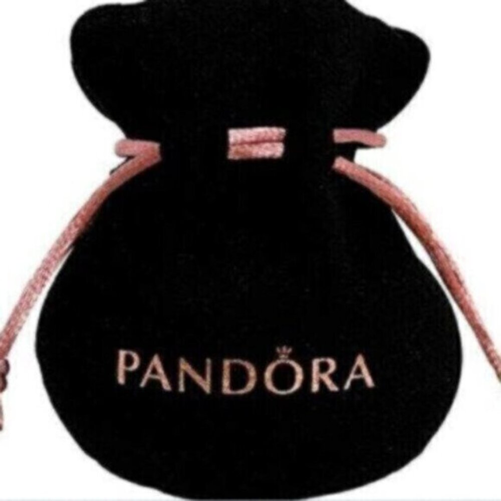 NWT Pandora Moments Snake Silver Chain Necklace Class 50cm Chain Necklace Round - Picture 4 of 4